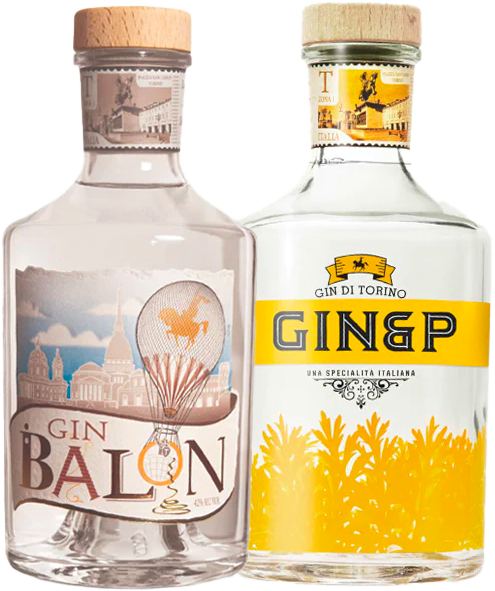 Artisan Gin Twin Pack